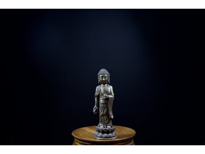 Buddha 站立于莲花宝座上, 19. století