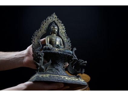 Buddha 受到两条龙的保护
