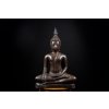 Buddha 棕色阴影下的照明