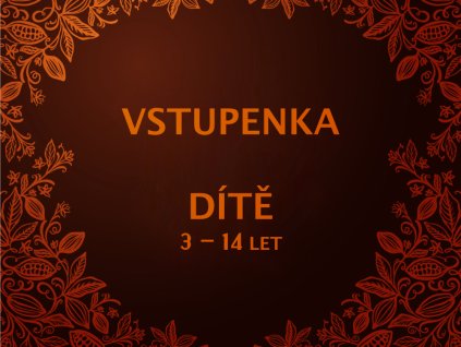 VSTUPENKA DÍTĚ