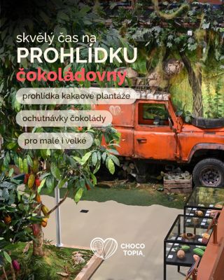 🌿🍫 Vydejte se s námi na cestu do světa kakaa a čokolády! Objevte kouzelnou kakaovou plantáž, poznejte příběh pravé...