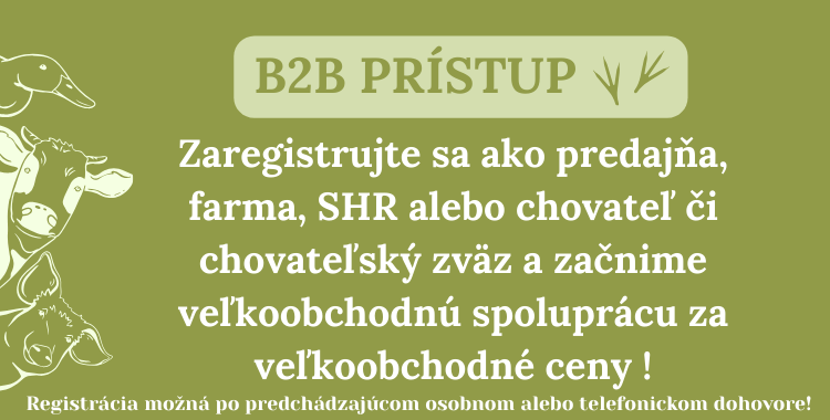 B2B
