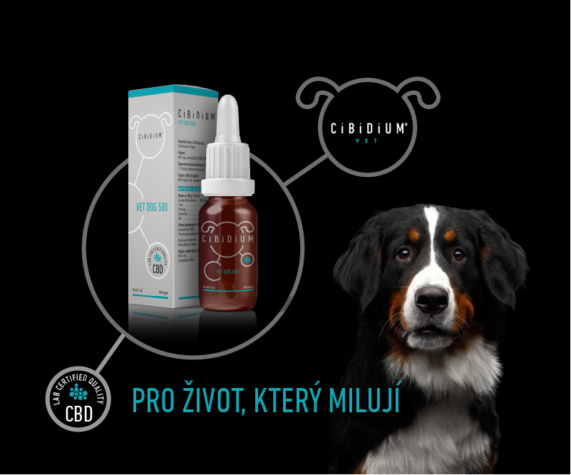 Pro život, který milují