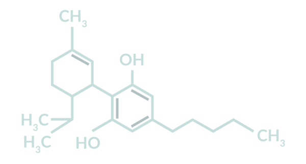 vzorec-600x321