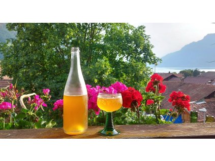 cider veranda js21062023
