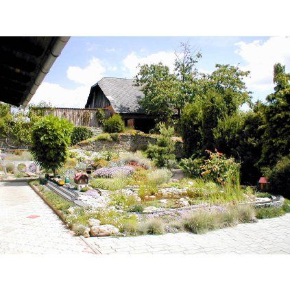 Střížov železnice 2