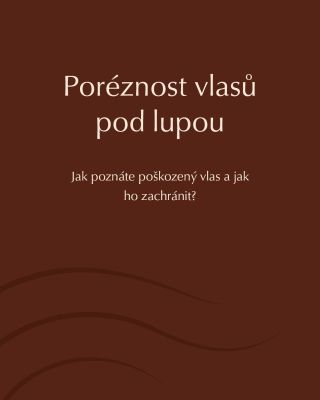 Lámou se vám vlasy, chybí jim lesk a jsou hrubé na dotek? Možná je trápí vysoká poréznost. V létě za to může nejen těsný...
