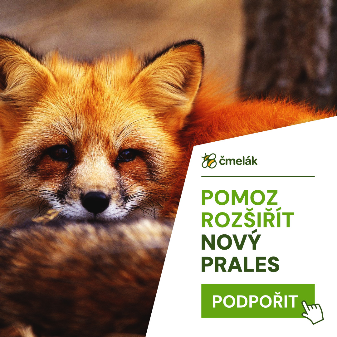 Odkaz na darujme