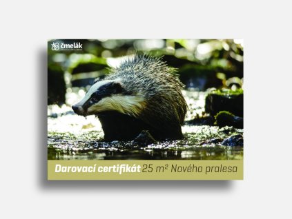 mockup jezevec