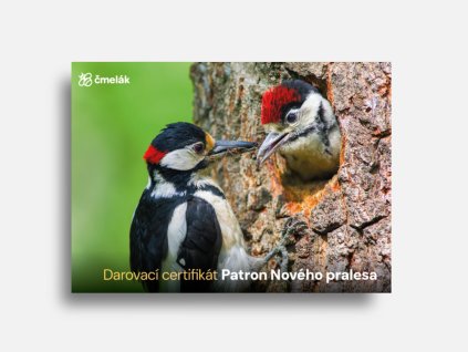 NOVY mockup strakapoud