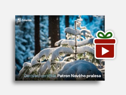 Náhled mockup Jedle