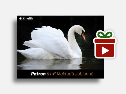 Náhled mockup Labuť