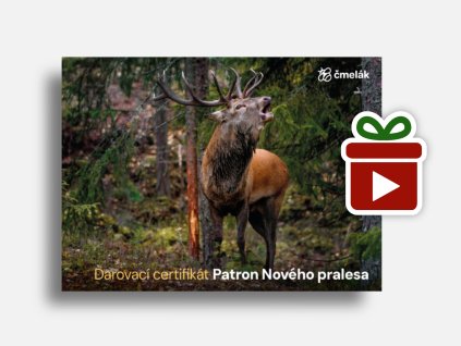 Náhled mockup Jelen