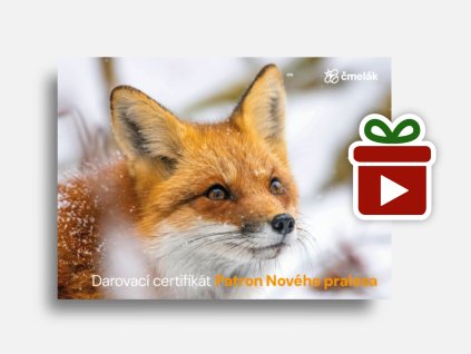 Náhled mockup Liška