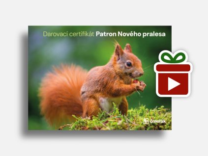 Náhled mockup Veverka