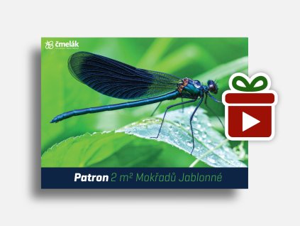 Náhled mockup Motýlice