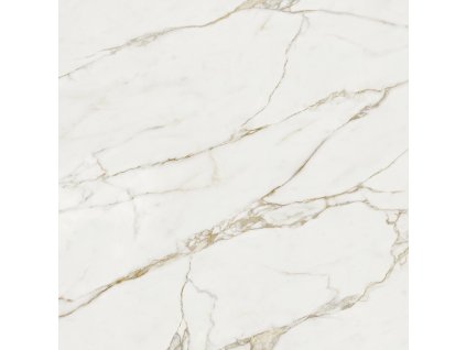 Atelier Dlažba 60x60 cm Calacatta Gold Lesk