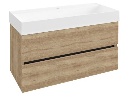 dt100 2222.268117628425015