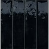 Fusion Obklady 6x25 cm Nero Lesk