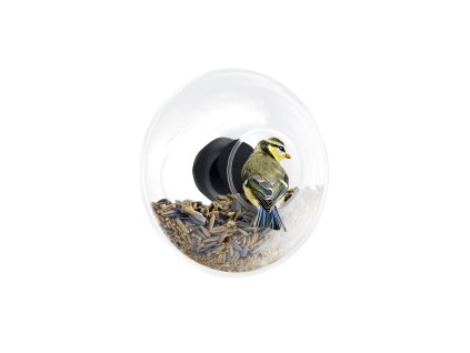 571048 Birdfeeder seeds HIGH