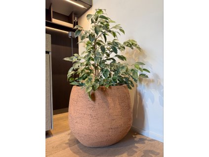 processed E506B10F 48D0 4E69 A967 171686293EFE