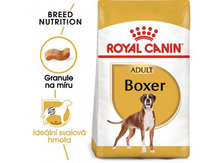 1 boxer adult