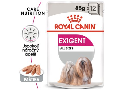 1 exigent dog loaf 12x