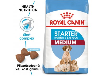 1 medium starter mother babydog