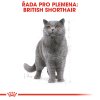 ***British Shorthair Adult granule pro britské krátkosrsté kočky - 400 g