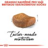 ***British Shorthair Adult granule pro britské krátkosrsté kočky - 400 g