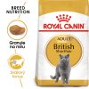 ***British Shorthair Adult granule pro britské krátkosrsté kočky - 400 g