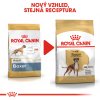 5 boxer adult