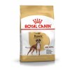 8 boxer adult