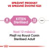 3 kitten sterilised