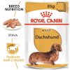 1 dachshund 12x