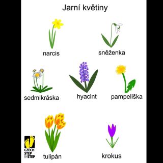 Jaro je tu! A venku můžete vidět některé tyto květiny. 🌷🌸🌺🪻🥀 Jaká je vaše oblíbená?