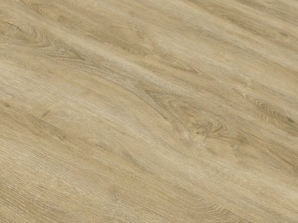 TRC 8003 detail scaled