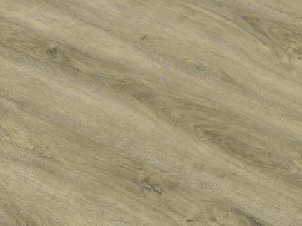 TRC 8004 detail scaled