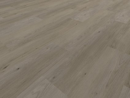 TRC 8006 detail scaled