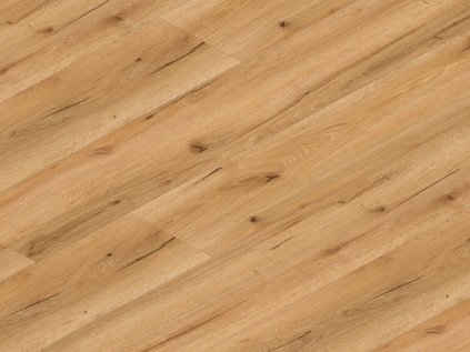 TRC 8018 detail scaled