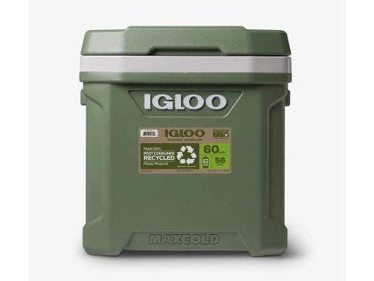 Izolovaný box Igloo Ecocool 60