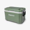 Izolovaný box Igloo Ecocool 52