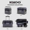 IGLOO