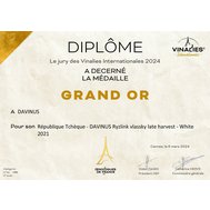 DAVINUS PŘIVEZL VELKOU ZLATOU MEDAILI Z FRANCIE