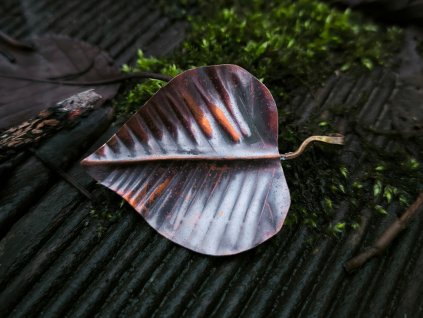 Bronze leaf brooch