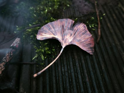 Ginkgo leaf bronze brooch
