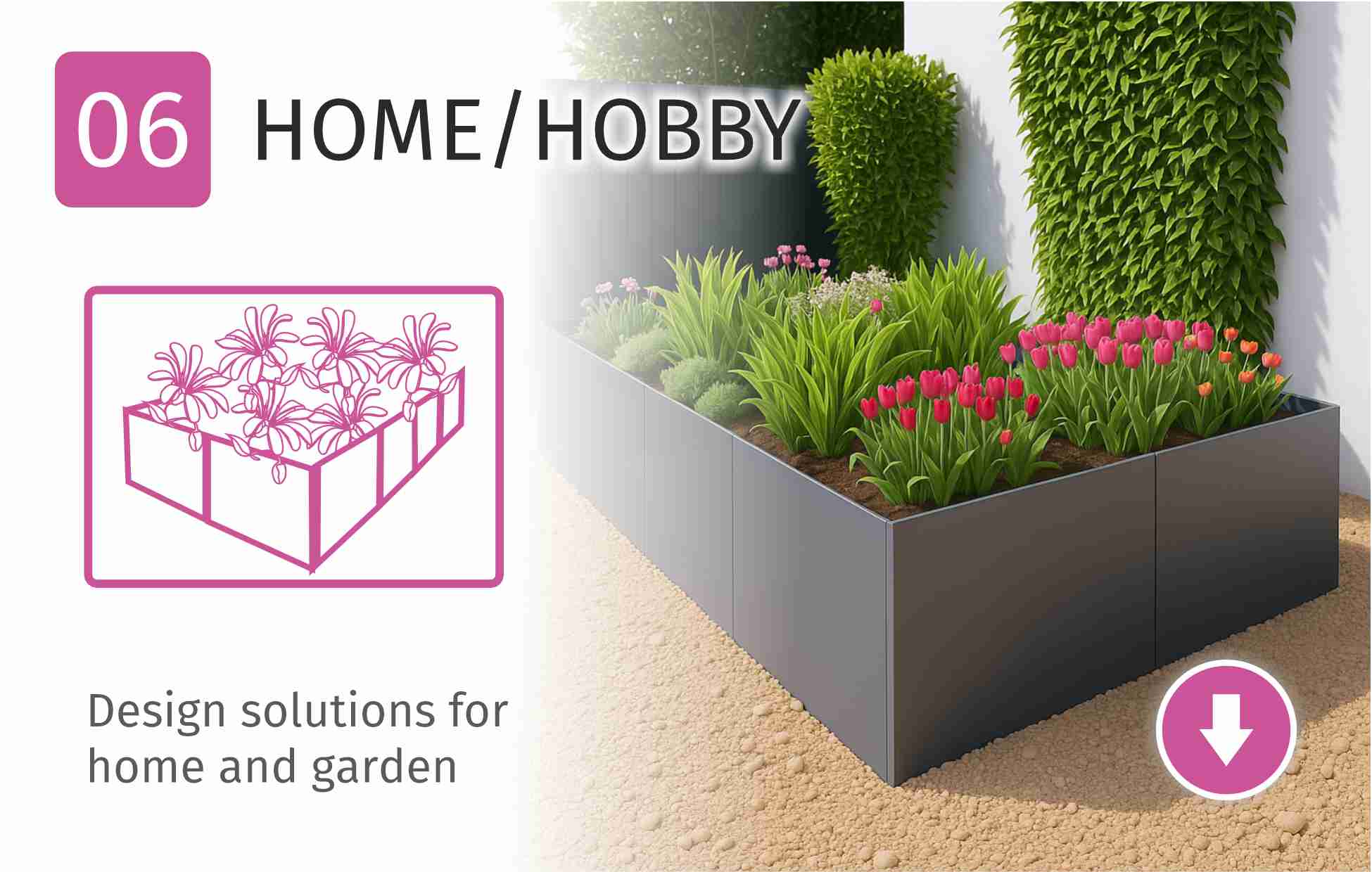 Home | Hobby