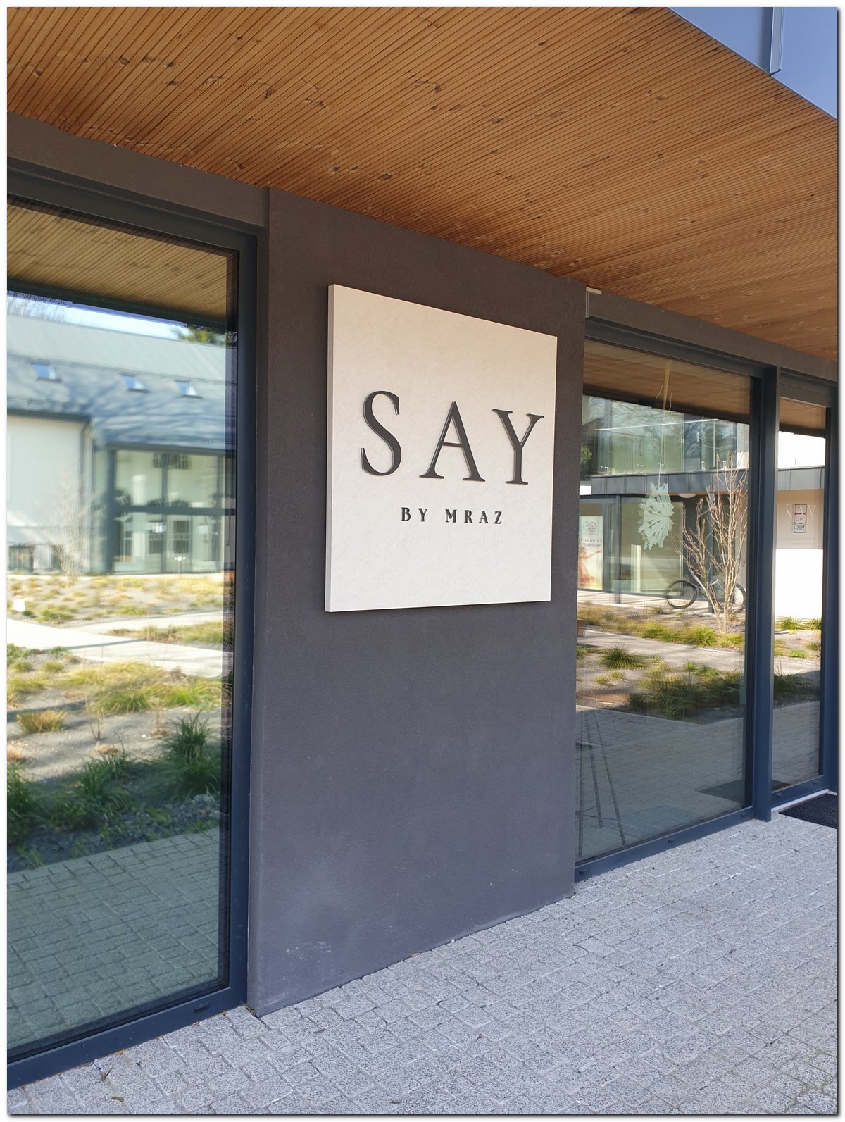 SAY_logo_01