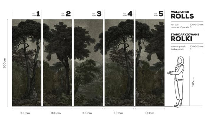 Hood-Dark-tapeta-v-rolich-wallart-rozmery-design-lovers