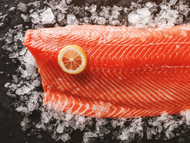 m-conservazione-ottimale-alimenti